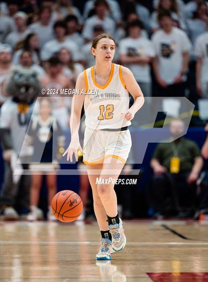 Thumbnail 1 in Olmsted Falls vs. Springboro (OHSAA Division 1 Final) photogallery.