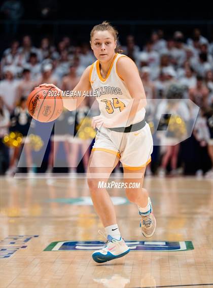 Thumbnail 1 in Olmsted Falls vs. Springboro (OHSAA Division 1 Final) photogallery.