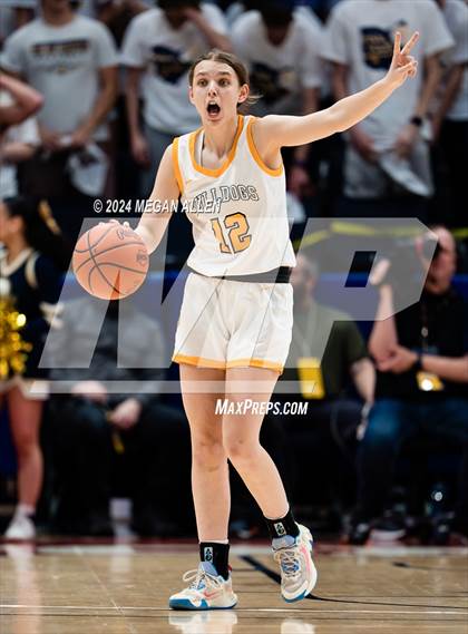 Thumbnail 3 in Olmsted Falls vs. Springboro (OHSAA Division 1 Final) photogallery.
