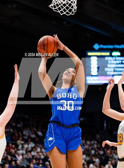 Thumbnail 1 in Olmsted Falls vs. Springboro (OHSAA Division 1 Final) photogallery.