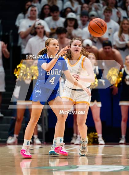 Thumbnail 1 in Olmsted Falls vs. Springboro (OHSAA Division 1 Final) photogallery.