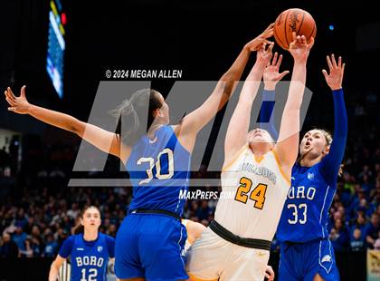 Thumbnail 1 in Olmsted Falls vs. Springboro (OHSAA Division 1 Final) photogallery.