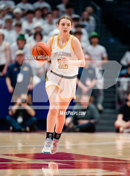 Thumbnail 3 in Olmsted Falls vs. Springboro (OHSAA Division 1 Final) photogallery.