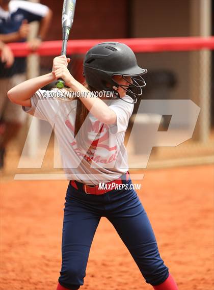 Thumbnail 1 in Rocky Mount Academy vs. Freedom Christian Academy (NCISAA 2A State Tournament) photogallery.