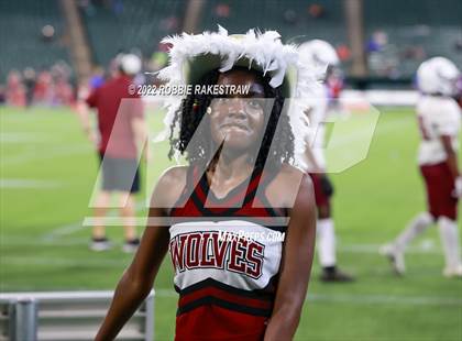 Thumbnail 1 in Mansfield Timberview @ Sam Houston photogallery.