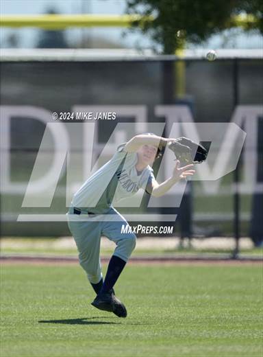 null - Photo 41
