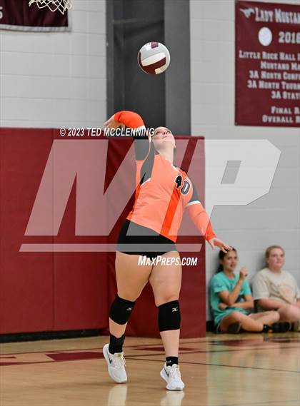 Thumbnail 3 in Lamar @ Perryville photogallery.