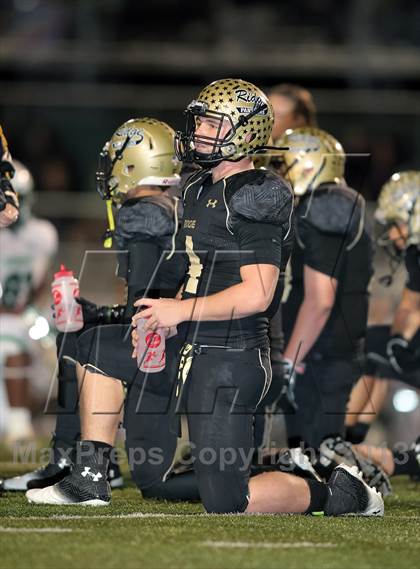 Thumbnail 1 in Carroll @ Fossil Ridge photogallery.
