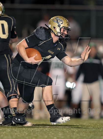 Thumbnail 2 in Carroll @ Fossil Ridge photogallery.