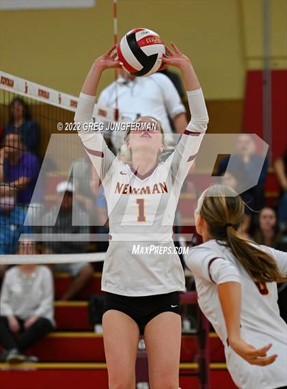 Thumbnail 2 in Analy @ Cardinal Newman photogallery.