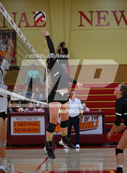 Thumbnail 2 in Analy @ Cardinal Newman photogallery.