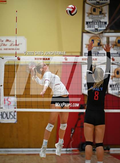 Thumbnail 3 in Analy @ Cardinal Newman photogallery.