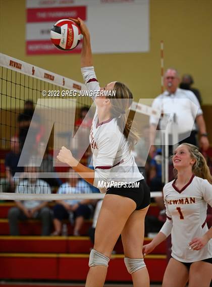 Thumbnail 3 in Analy @ Cardinal Newman photogallery.