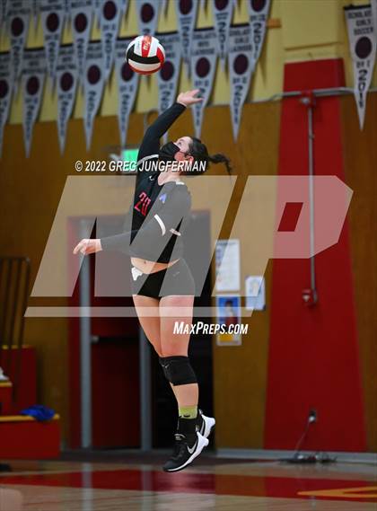 Thumbnail 2 in Analy @ Cardinal Newman photogallery.