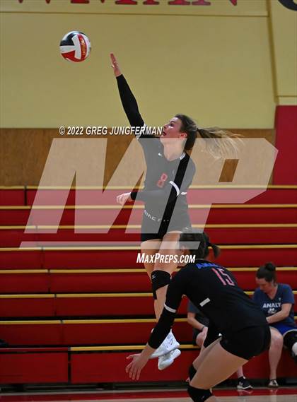 Thumbnail 1 in Analy @ Cardinal Newman photogallery.