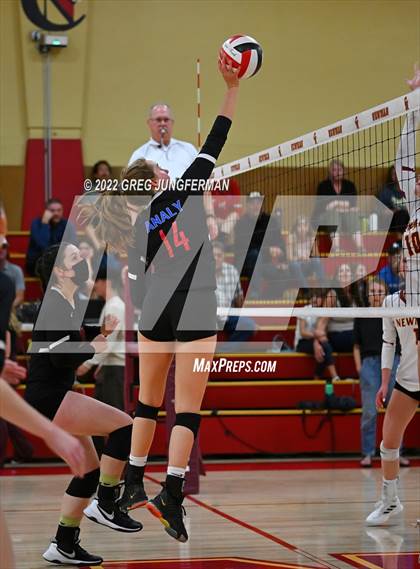 Thumbnail 2 in Analy @ Cardinal Newman photogallery.