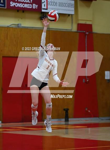 Thumbnail 1 in Analy @ Cardinal Newman photogallery.