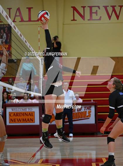Thumbnail 1 in Analy @ Cardinal Newman photogallery.