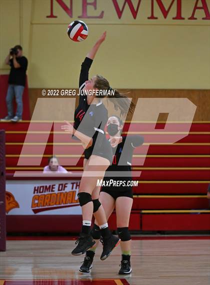 Thumbnail 1 in Analy @ Cardinal Newman photogallery.