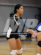 Photo from the gallery "Dobson @ Skyline"