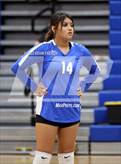Photo from the gallery "Dobson @ Skyline"