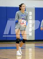 Photo from the gallery "Dobson @ Skyline"