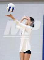 Photo from the gallery "Dobson @ Skyline"