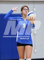 Photo from the gallery "Dobson @ Skyline"