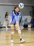 Photo from the gallery "Dobson @ Skyline"