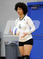Photo from the gallery "Dobson @ Skyline"