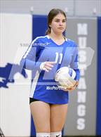 Photo from the gallery "Dobson @ Skyline"