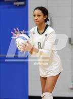 Photo from the gallery "Dobson @ Skyline"