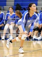 Photo from the gallery "Dobson @ Skyline"