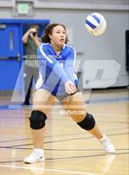 Photo from the gallery "Dobson @ Skyline"