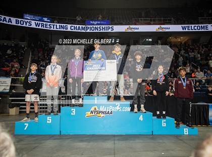 Thumbnail 2 in NYSPHSAA Division 2 (Awards and Podiums) photogallery.