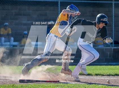 Thumbnail 3 in New London @ Davenport North photogallery.