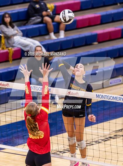 Thumbnail 3 in Torrey Pines vs. Cathedral Catholic (CIF SDS Open Division Championship) photogallery.