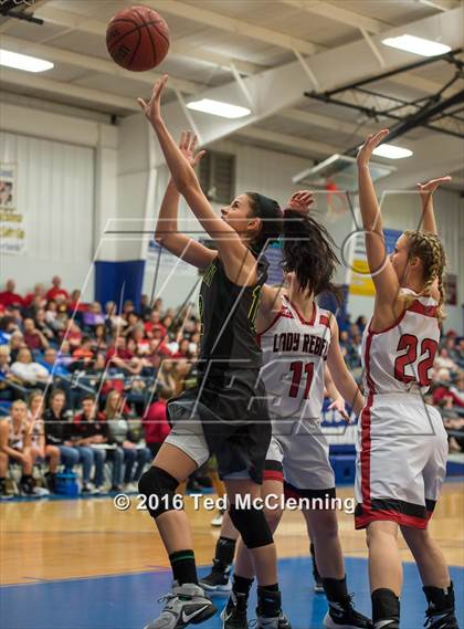 Thumbnail 2 in Wonderview vs Sacred Heart (AAA 1A District Playoff) photogallery.