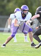 Photo from the gallery "Fowlerville @ Williamston"