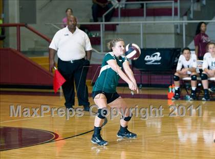 Thumbnail 2 in Poteet @ Ennis photogallery.