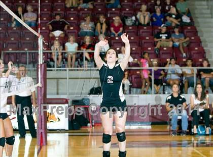 Thumbnail 2 in Poteet @ Ennis photogallery.