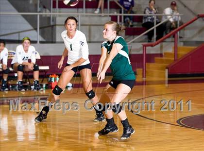 Thumbnail 3 in Poteet @ Ennis photogallery.