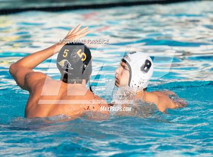 Thumbnail 2 in Canyon @ Foothill photogallery.