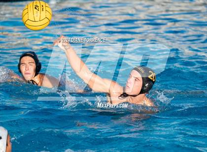 Thumbnail 2 in Canyon @ Foothill photogallery.