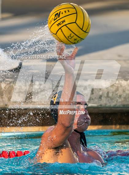 Thumbnail 1 in Canyon @ Foothill photogallery.