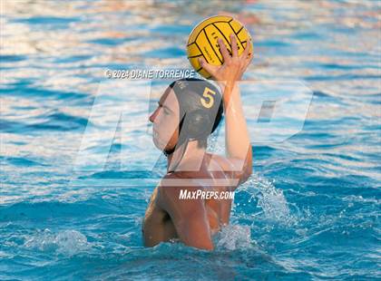 Thumbnail 1 in Canyon @ Foothill photogallery.