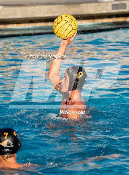 Thumbnail 2 in Canyon @ Foothill photogallery.