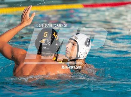 Thumbnail 1 in Canyon @ Foothill photogallery.