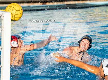 Thumbnail 1 in Canyon @ Foothill photogallery.