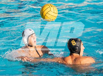 Thumbnail 1 in Canyon @ Foothill photogallery.